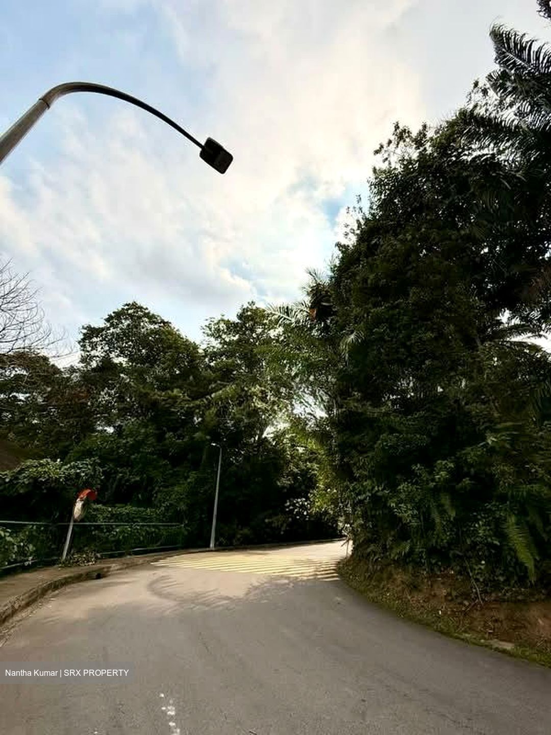 Cluny Park (D10), Detached #563355881